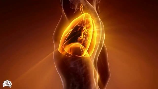 Неограниченная Целебная Золотая Энергия, Восстанавливает И Регенерирует Организм, Снимает Усталость смотреть онлайн