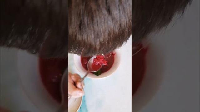 #свекольник #красный #суп #sorts #food смотреть онлайн