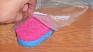 Очень легкий и быстрый способ проращивания семян на рассаду. Рассада без заморочек. Дачные хитрост