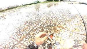 Ультралайт или отводной поводок?? Рыбалка в центре города!