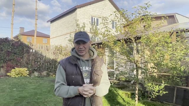 Как подселить новых кур. "Быстро не всегда гладко" смотреть онлайн