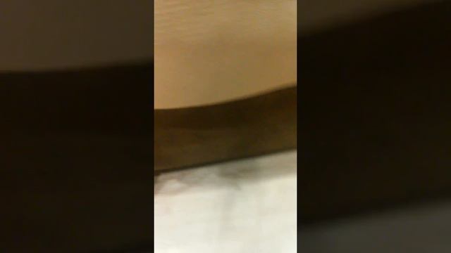 Пустыня монстров.1серия смотреть онлайн