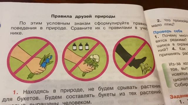 Окружающий мир/3 кл/часть 1/Плешаков/Охрана растений/11.11.21 смотреть онлайн