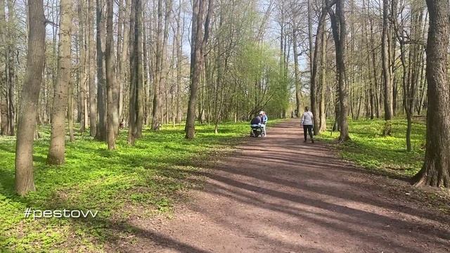 Шашлыки 9 мая 2023 года #pestovv смотреть онлайн