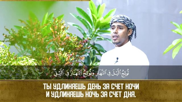 Алю Имран смотреть онлайн