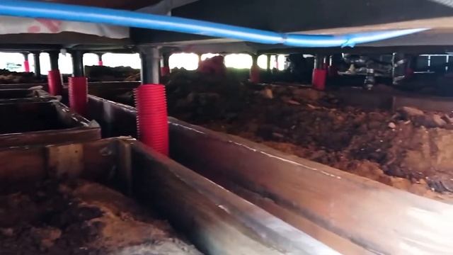 Замена фундамента под домом в Московской области смотреть онлайн