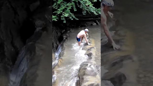 Виженка Карпаты горная река смотреть онлайн