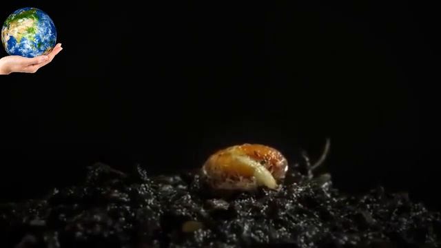 "Планета - наш дом" в рамках информационно-просветительских мероприятий "Часы мира и добра" смотреть онлайн