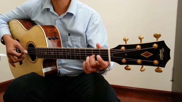 TAYLOR GSCE-FLTD FALL 2012 LIMITED EDITION смотреть онлайн