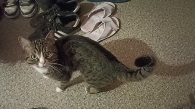 железный человек(стоп кадр видео) смотреть онлайн