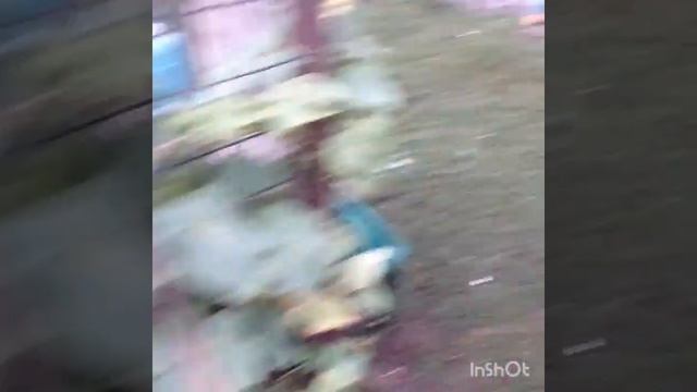 поехали в больницу/нас выписали/Леха косит траву/Жора помогает папе работать