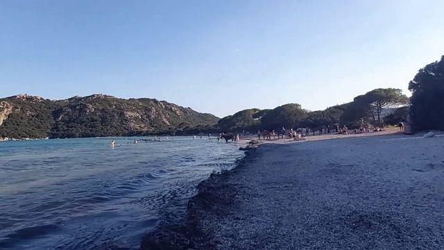 Рукоделие на каникулах, переделка платья, пляж Санта Джулия, купание лошадей. смотреть онлайн