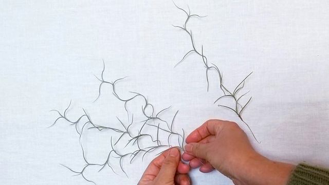 🕸수염틸란드시아🕸 증식~ 이것만 알면 끄읏~ (Spanish moss, Tillandsia Breeding) смотреть онлайн