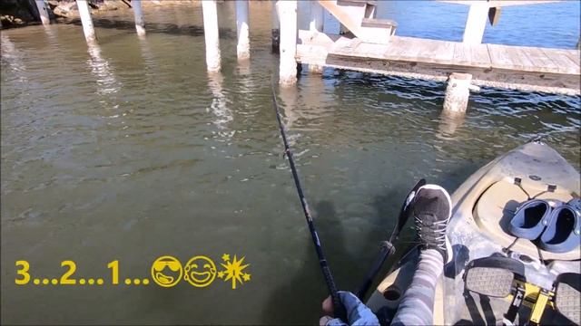 ⚠️WARNING⚠️Very Addicting? 32 Fish In 32 Minutes! Non Stop Sheepshead Snapper Action Mosquito Lagoo смотреть онлайн
