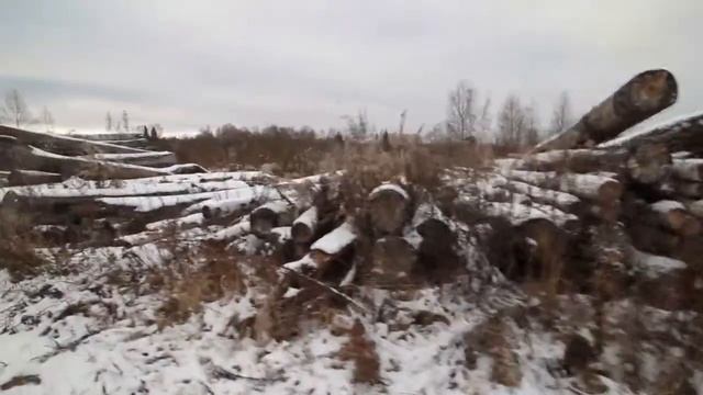 Жесть. Рубки леса в Смоленском Поозерье смотреть онлайн