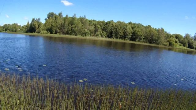 Рыбалка в Карелии 1 Июля 2017 г Река Суна\Fishing in Karelia 1 July 2017 г The river Suna смотреть онлайн