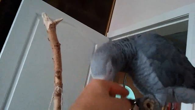 ЖАКО МОНЯ. Прилив нежности (19) смотреть онлайн