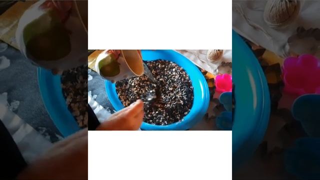 Печенье для птиц или кормушка для птиц. смотреть онлайн