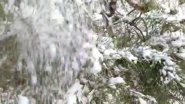 Дача зимой.22.11.2020 смотреть онлайн