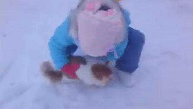 Вывели кота Русика на прогулку 2013 смотреть онлайн