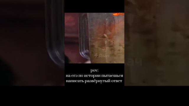 Pov: пытаешься написать ответ на егэ #история #егэ #shortsclip смотреть онлайн