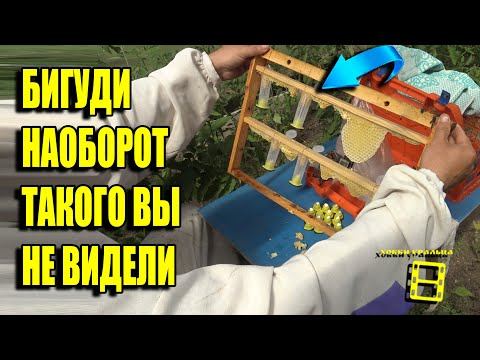 ПОМЕЩАЕМ МАТОЧНИКИ В КЛЕТОЧКИ ВЫВОД МАТОК, ОТВОДКИ ПЧЕЛ БЕЗ РОЕНИЯ 3 ДЛЯ НАЧИНАЮЩИХ ПЧЕЛОВОДОВ 14-21 смотреть онлайн