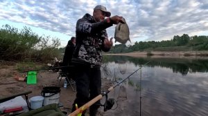 ОШИБКИ начинающего Фидериста! Почему не ловит Фидер! Фидерная рыбалка ОСНОВНЫЕ МОМЕНТЫ!