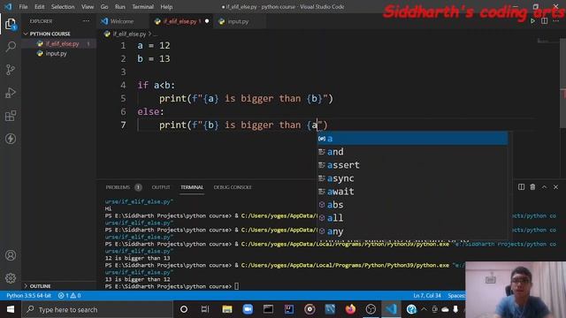 input and if, else, elif in python смотреть онлайн