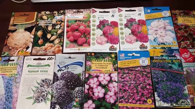 Январь - дела садовые. Что посеять в январе? смотреть онлайн