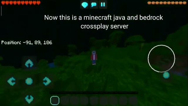New 24/7 minecraft java and bedrock crossplay smp server (first 5 joiners will be admins) смотреть онлайн