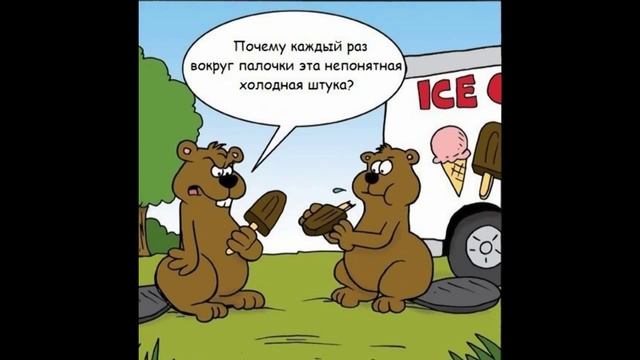 Смешные фотки про жизнь веселые картинки для поднятия настроения! смотреть онлайн