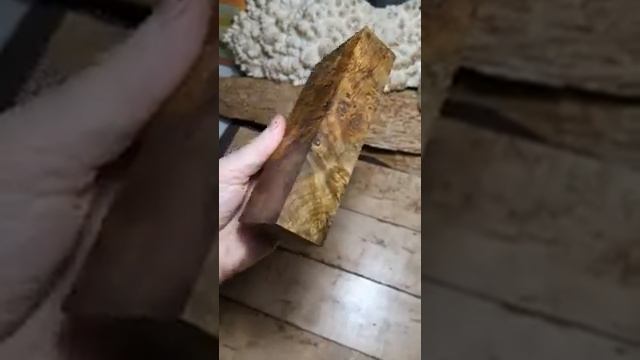 Стабилизированный кап клёна с элементами шпальта смотреть онлайн