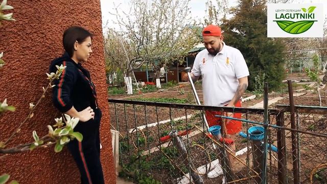 Как быстро и легко высадить рассаду смотреть онлайн