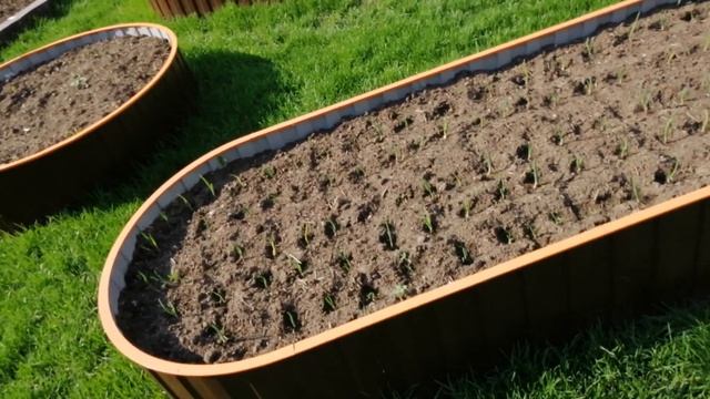 Высокие грядки, обрамления для грядок