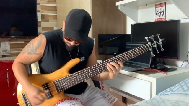 Baixo ibanez Sr1206 смотреть онлайн