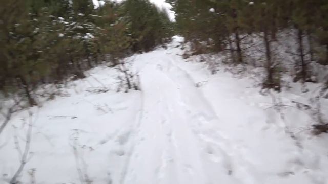 Гон срезал лапы, конец охоте! Охота на зайца с гончими как она есть. смотреть онлайн