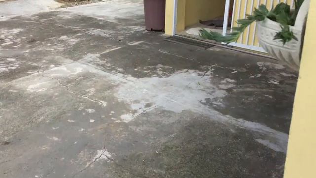 Ensinando o cão ir pro canil , akita adestramento a domicilio смотреть онлайн