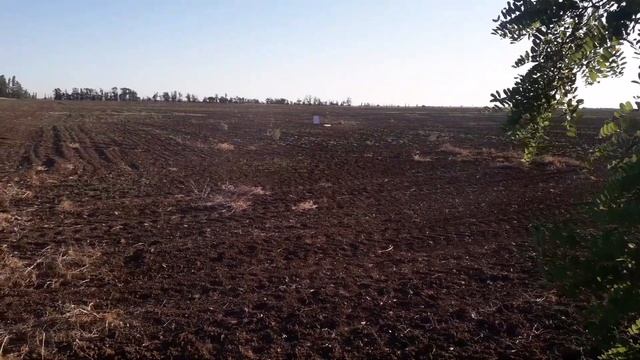 Отстрел на кучность 28 калибра, латунь, дробь номер 3 и 1 в контейнер, на 30 и 50 метров, чок 0,4. смотреть онлайн