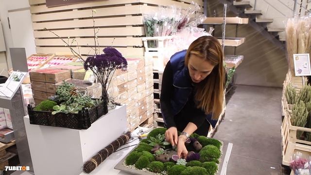 Мастер-класс по флористике от Ольги Шаровой | Цветочная композиция с суккулентами и картошкой