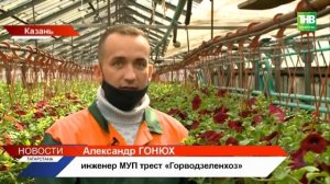 В Казани готовятся высадить цветы, выращенные в теплицах