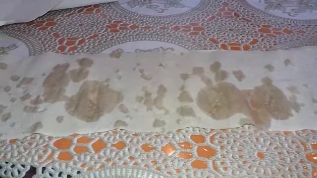 Как вырастить травку для попугаев. @JessLife-Pets . смотреть онлайн