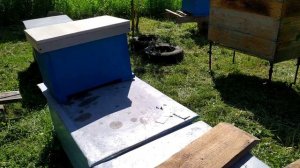 Расширение пасеки однорамочными отводками, результат! и обо всем!