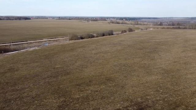 В деревне поселились аисты! Эксперименты с таймлапсом смотреть онлайн