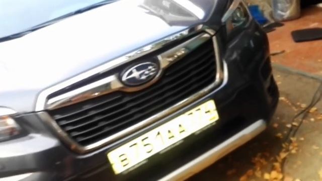 D.J.TolyaS. 3D Автоковрики ЭВА от EVA Green на Kia Sportage 4(QL) и Subaru Forester 5 смотреть онлайн