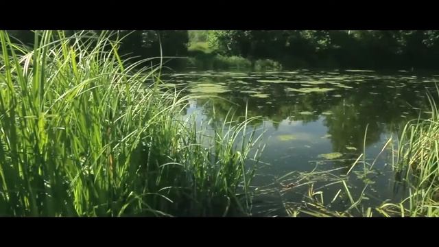 Участок в Навлинском районе - 120 гектаров смотреть онлайн