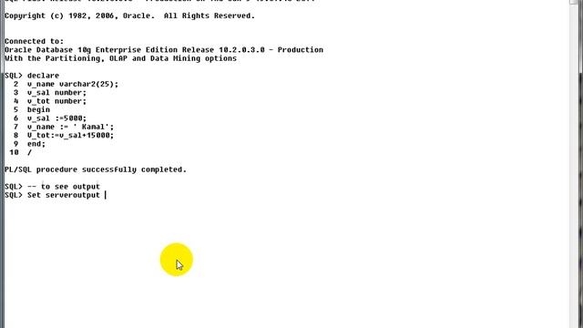 Oracle Pl SQL Training: Simple Programming смотреть онлайн