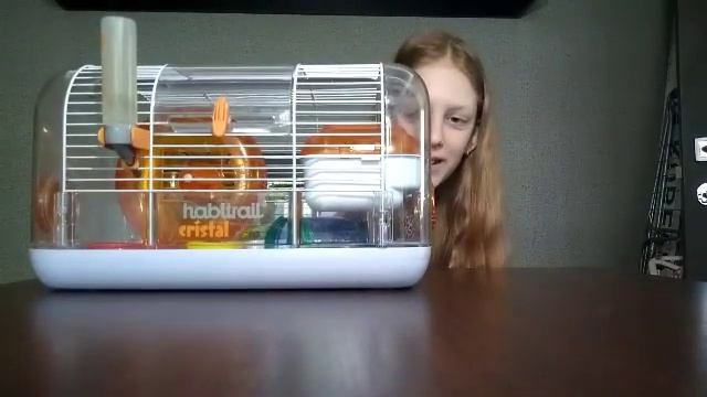 Я вернулась на YouTube?! \ Знакомство с нами...\ Я и мои питомцы\ Что крысы и хмяки? смотреть онлайн