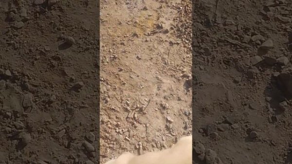 Nikki Baby Morning Me Khana Khate Khate Masti Karti Hui।। part 1।। Cute ??