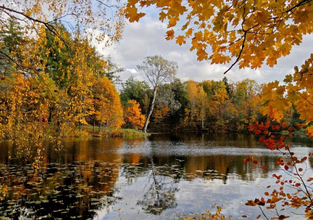 П.И.Чайковский - «Октябрь. Осенняя песнь» смотреть онлайн