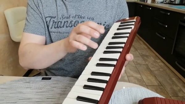 ОБЗОР ДИЛЕТАНТА I МЕЛОДИКА YAMAHA P37D I PIANICA YAMAHA